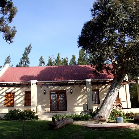 Calais Wine Estate Guest House Парл Екстериор снимка