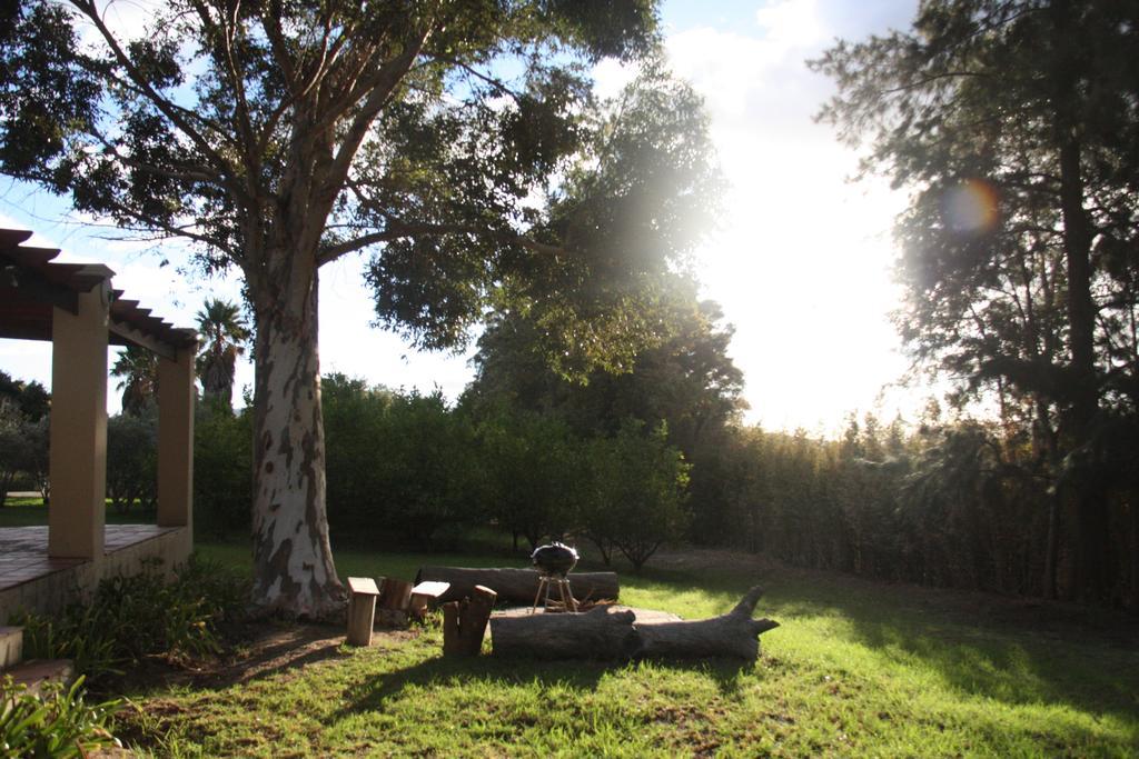 Calais Wine Estate Guest House Парл Екстериор снимка
