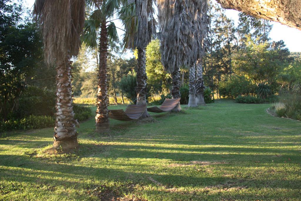 Calais Wine Estate Guest House Парл Екстериор снимка